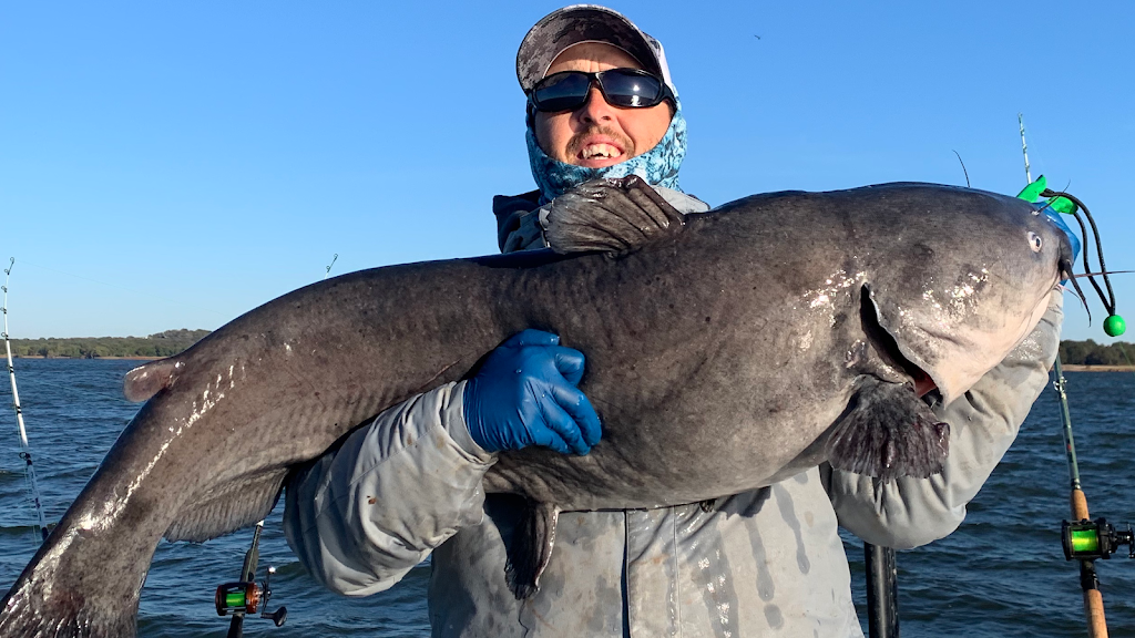 Lake Texoma Catfish Guide Lake Texoma Fishing Guide