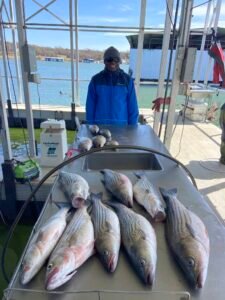 Moe Rogers Guide Service Lake Texoma Fishing Guide