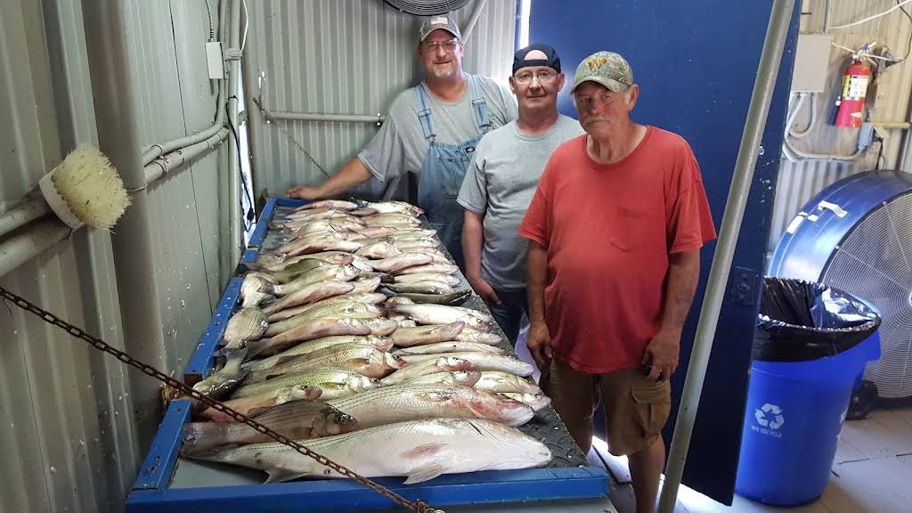 Rex Bridges Fishing & Hunting Lake Texoma Fishing Guide