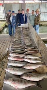 Sparky's Guide Service Lake Texoma Striper Guide Lake Texoma Fishing Guide