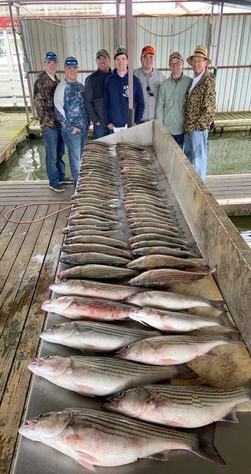 Sparky's Guide Service Lake Texoma Striper Guide Lake Texoma Fishing Guide