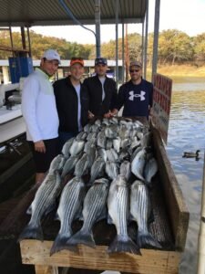 Striper Hunter Guide Service Lake Texoma Lake Texoma Fishing Guide