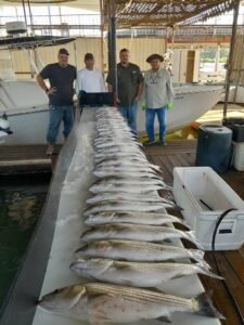 Texoma Striper Adventures Guide Service Lake Texoma Fishing Guide